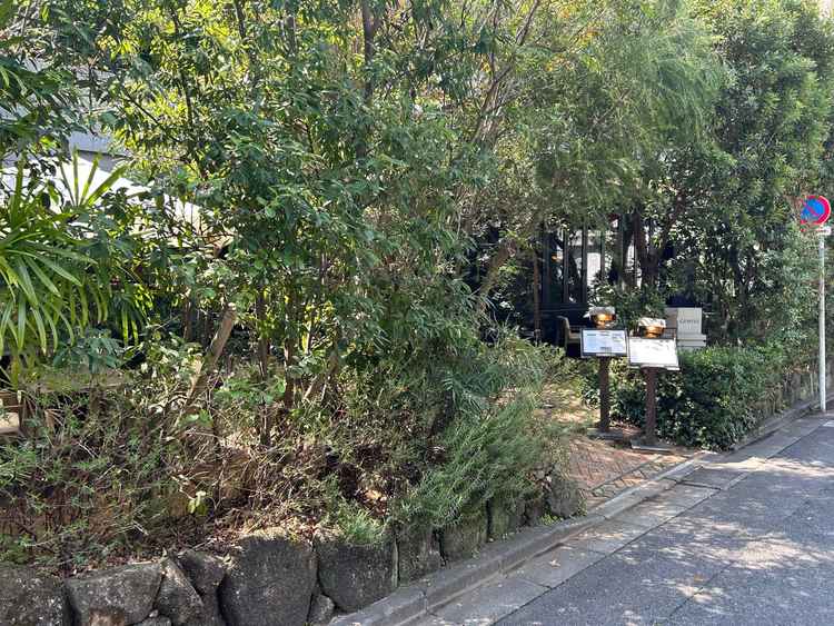 併設のレストラン入り口です。緑の感じが素晴らしいです。結婚式以降もレストランのみ利用ができるのがいい