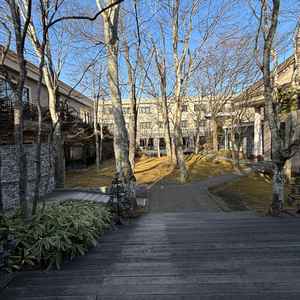 チャペルからみる会場のお庭。5〜10月になると一面緑の自然豊かな印象になるとのことでした。