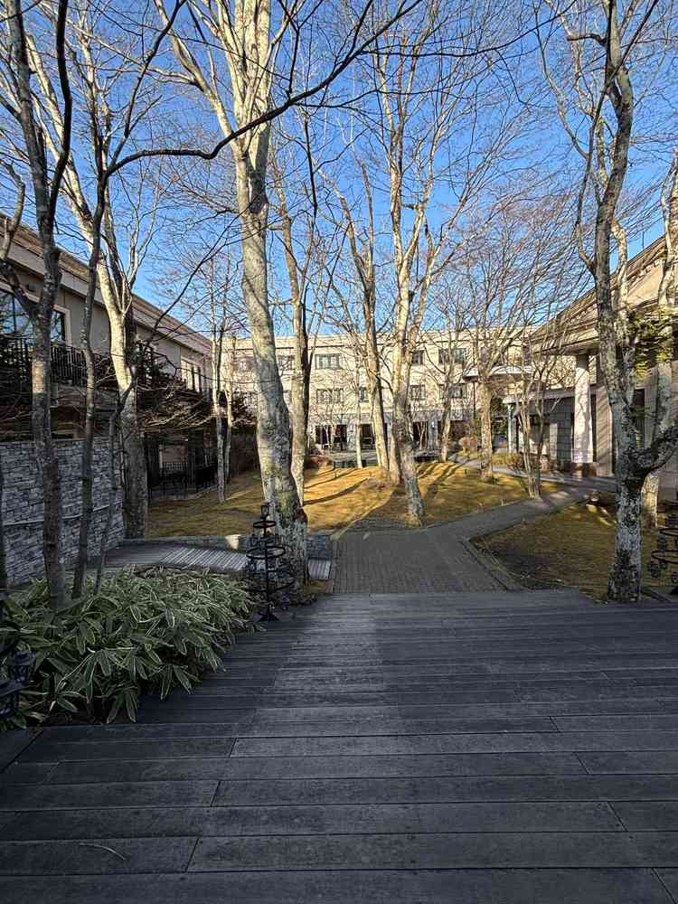 チャペルからみる会場のお庭。5〜10月になると一面緑の自然豊かな印象になるとのことでした。