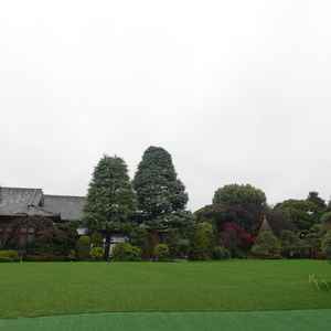 ビルが一つも見えない広い庭