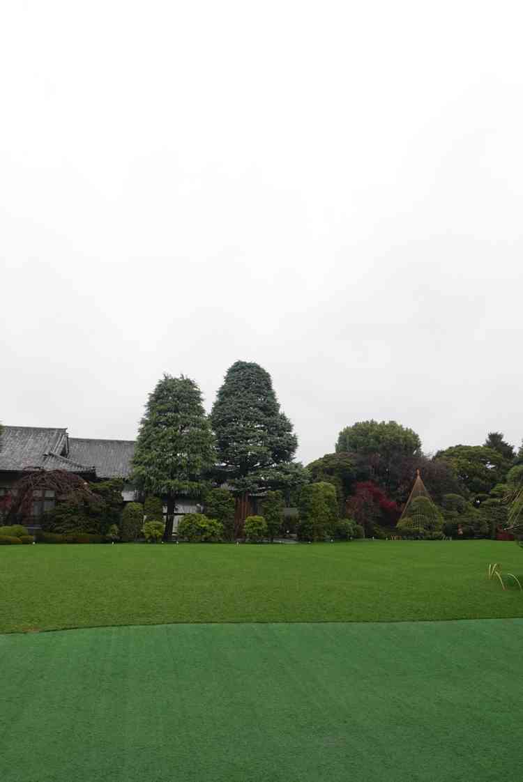 ビルが一つも見えない広い庭