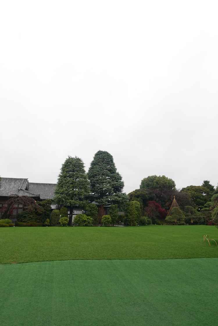 ビルが一つも見えない広い庭