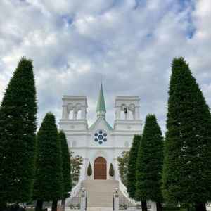 入り口でお出迎えしてくれる憧れの大階段