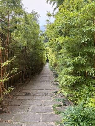 竹に囲まれた小道が印象的で、和の趣を存分に感じられました。