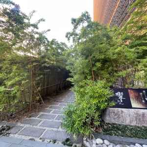 入り口にある竹林　7月撮影