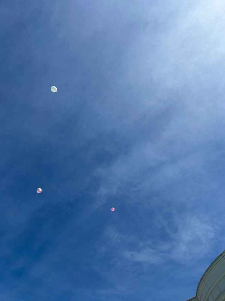 オプションの風船を飛ばす演出を体験しました。風船が飛ぶと同時に音楽が流れ、テンションが上がりました！