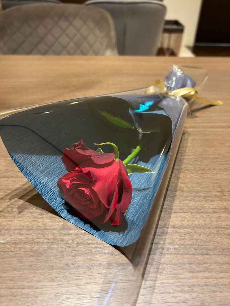 今回の見学時にサプライズでいただいた薔薇の花。