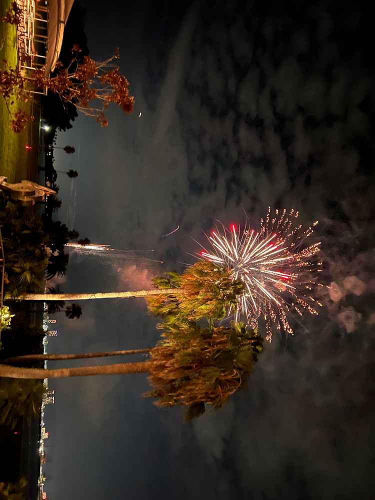決まった日に花火があがるとのこと。演出でもできるとお聞きしました。