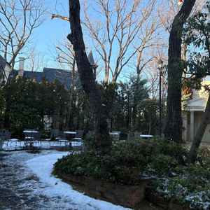 披露宴の外にあるプライベートな庭。周りが木々に囲まれている。