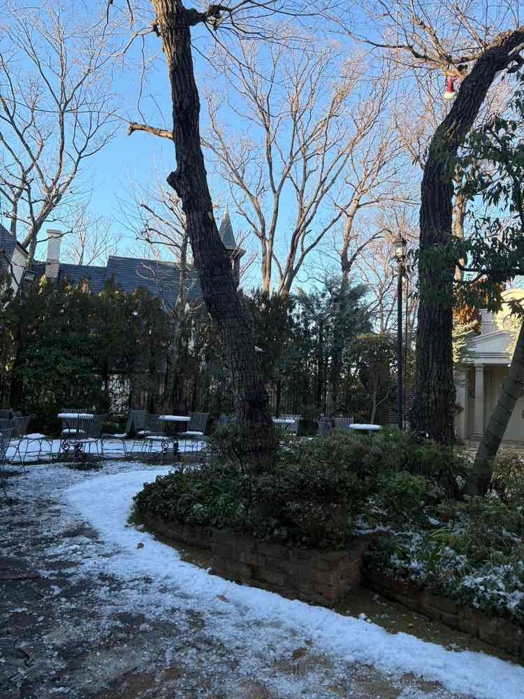 披露宴の外にあるプライベートな庭。周りが木々に囲まれている。