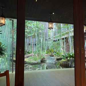 サロンからの中庭