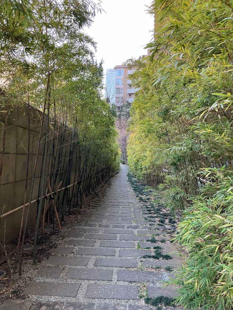 入り口外に竹林があり、写真撮影などにバッチリ。