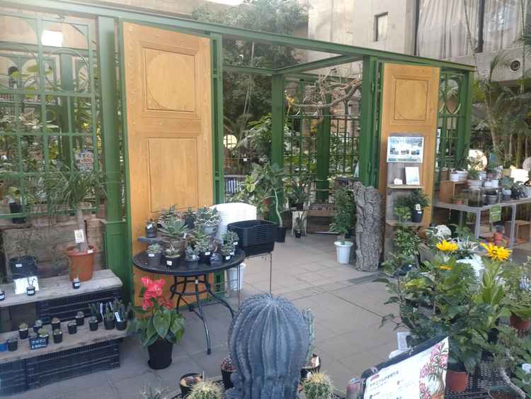 新郎新婦入場時の画像