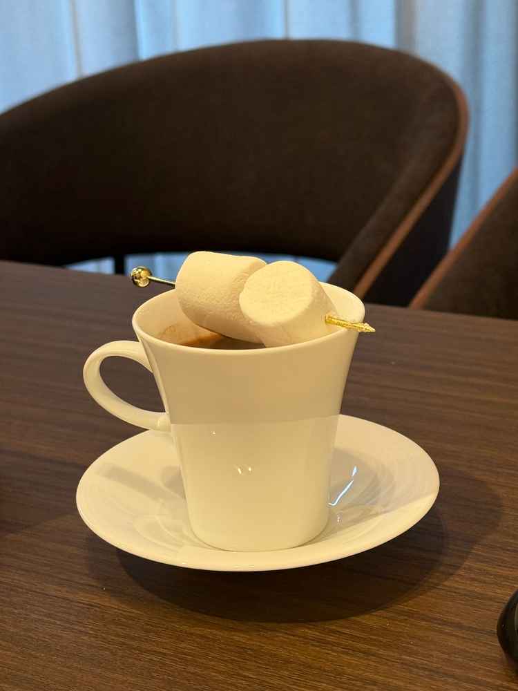 なんと！ウェルカムドリンクとして、ホットココアをいただきました。外が寒かったので身体に沁みました…