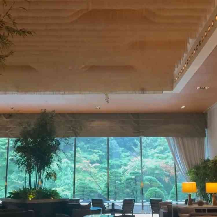 ロビー入って緑を感じられる素敵な空間でした。