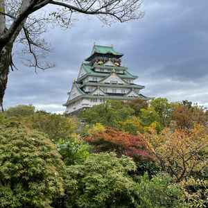 当日、ゲストの控室となる茶室から望める大阪城。