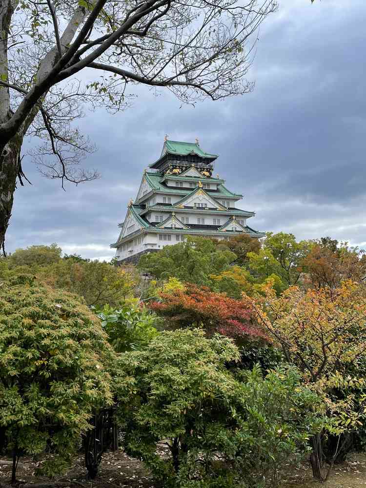 当日、ゲストの控室となる茶室から望める大阪城。