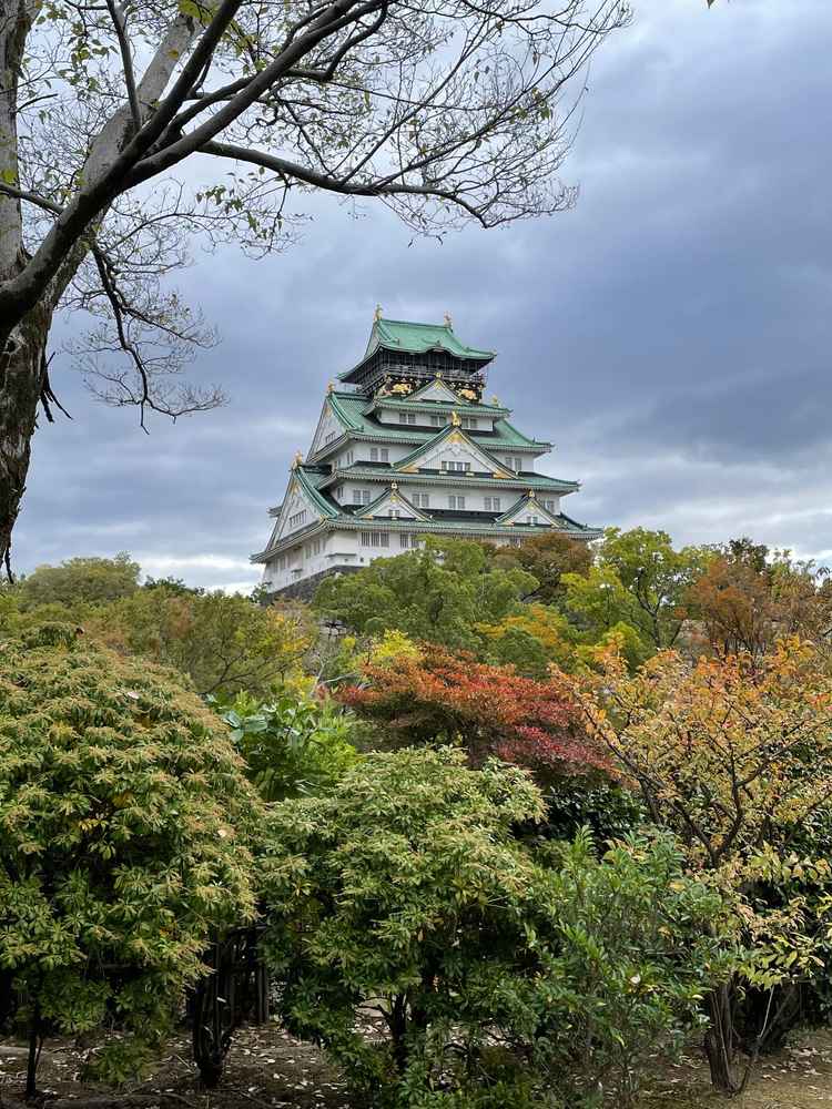 当日、ゲストの控室となる茶室から望める大阪城。