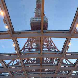 チャペルから見上げた景色