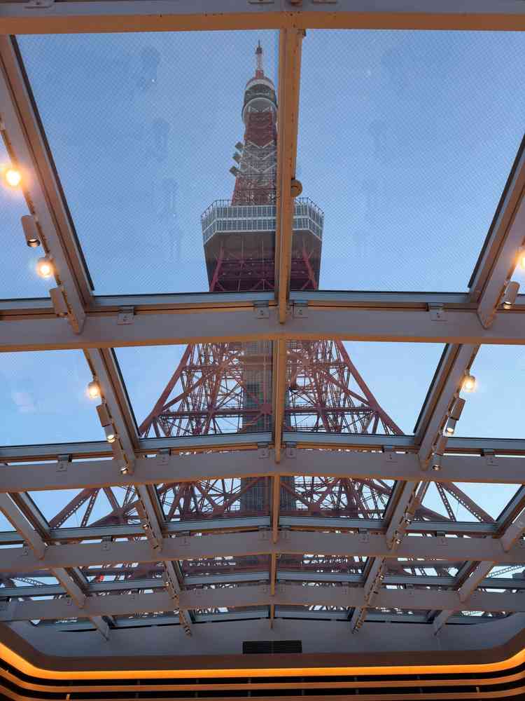 チャペルから見上げた景色