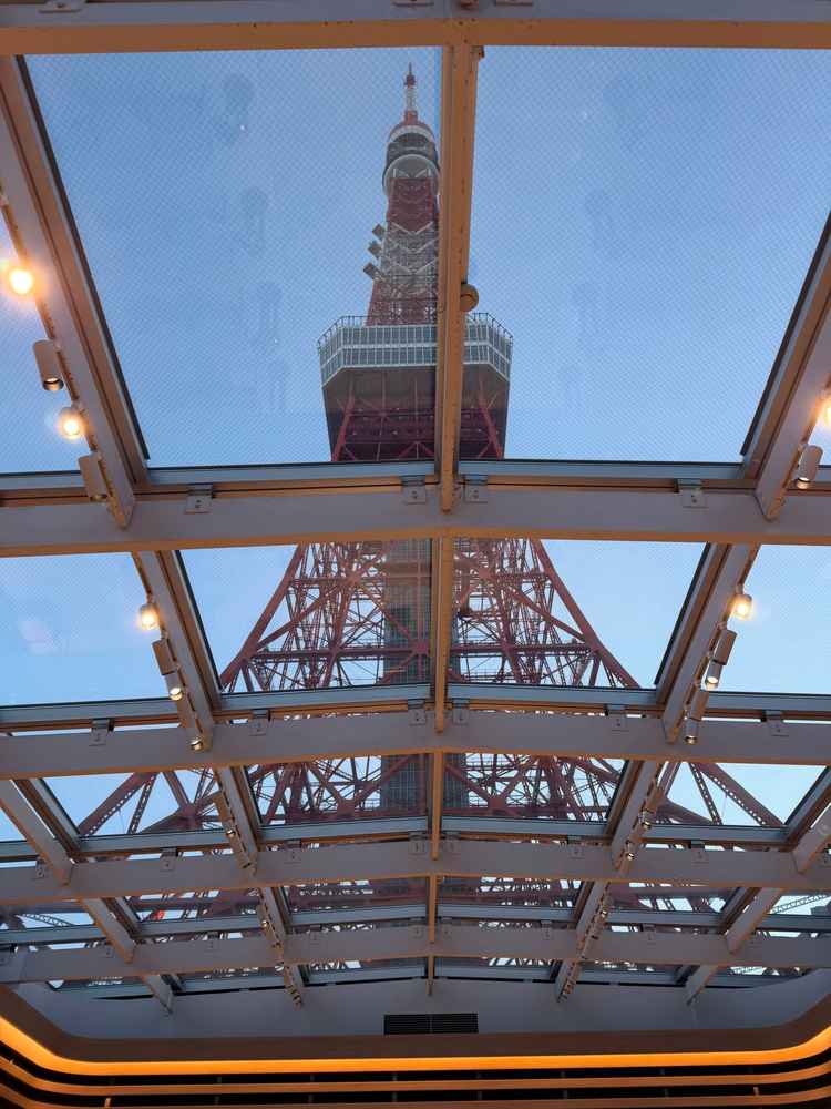 チャペルから見上げた景色