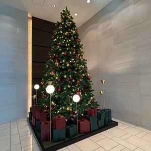12月は大きなクリスマスツリーが出るようで、とても雰囲気がよかったです