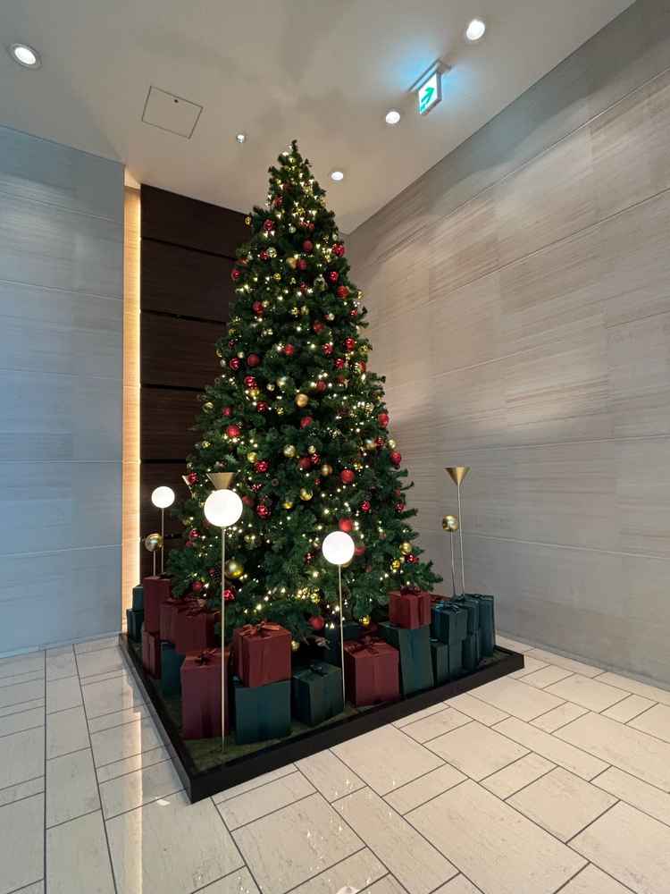 12月は大きなクリスマスツリーが出るようで、とても雰囲気がよかったです