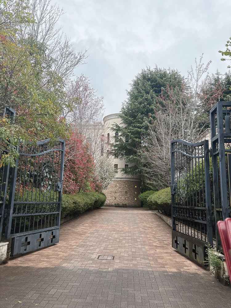 4月上旬、雨が降っていました。5,6月頃が緑のピークだそうです。