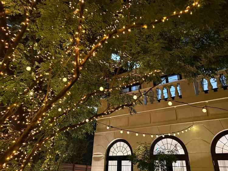 夜はライトアップされて綺麗です