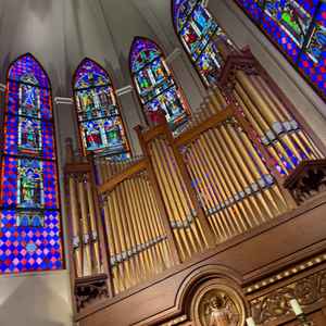 有名な大聖堂。とても天井が高く、豪華な印象で思っていたよりも開放感があり、良い雰囲気だとかんじました