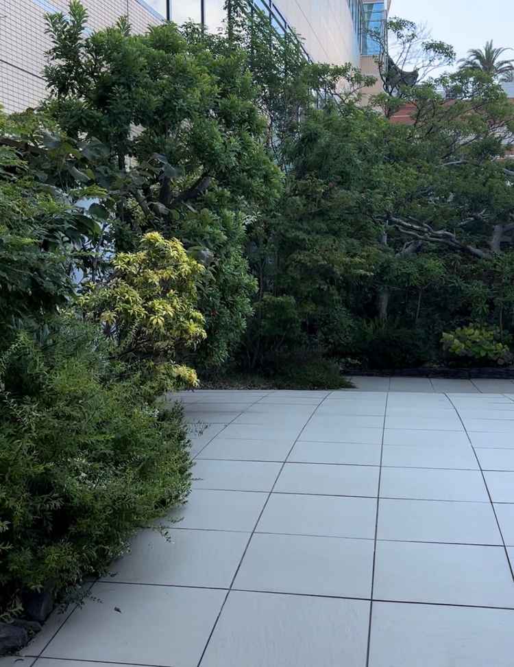 晴れたらガーデンもあり、ホテルでも色々できそうと感じた。