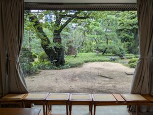 会場から見える外の景色。緑が多く日本らしさを感じられる