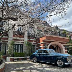 入り口です。桜の時期で桜が綺麗です。車もいい味出してます。