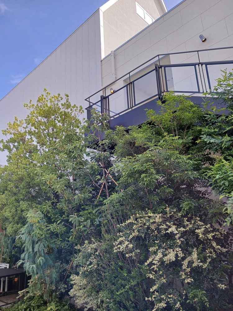 チャペル横からは中庭に続く外階段になっており、ブーケトスやフラワーシャワーの演出が叶います。