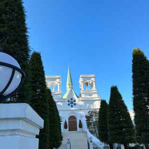 正面から見た写真です。