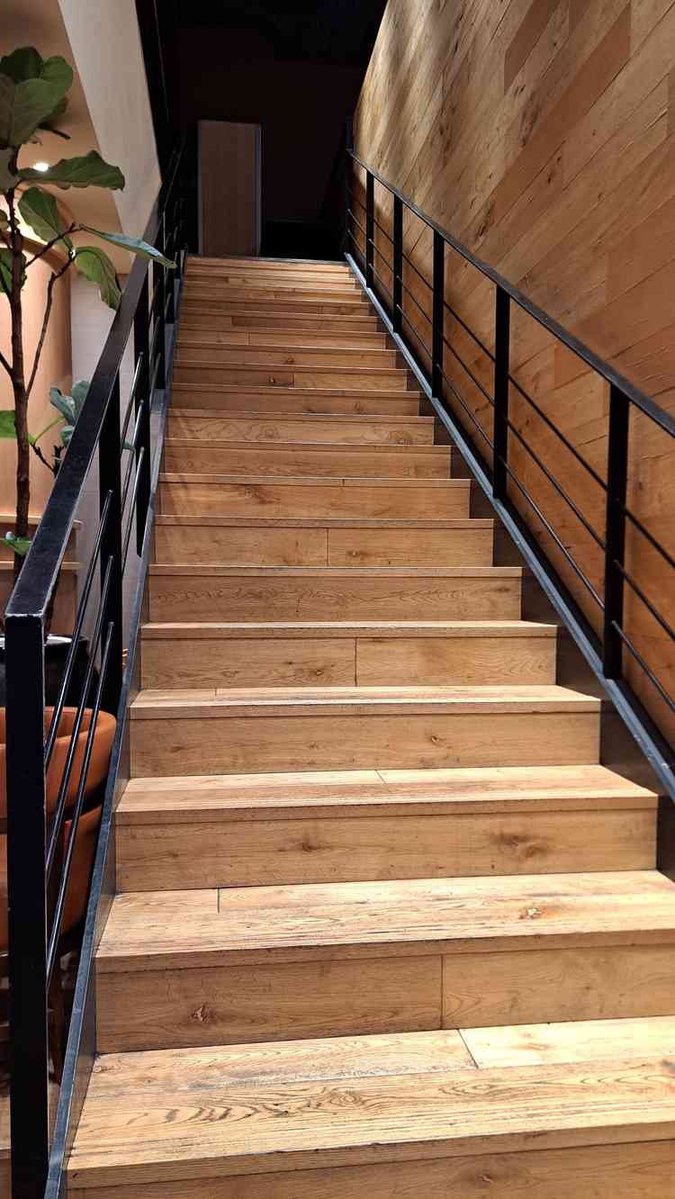 この階段から入場もできるみたい