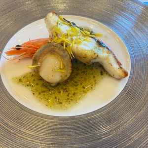 コース料理を試食しました。とても美味しく、見た目も綺麗でした。