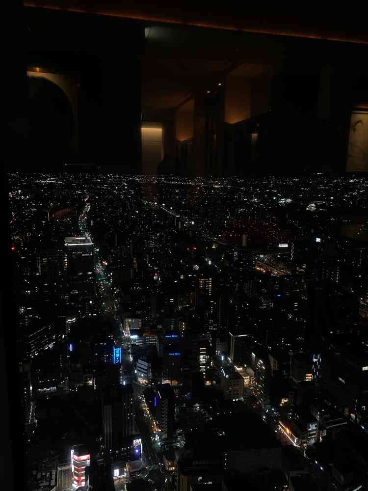 夜景。名古屋市内が一望できる。ぼーっと見惚れてしまうような最高の景色。