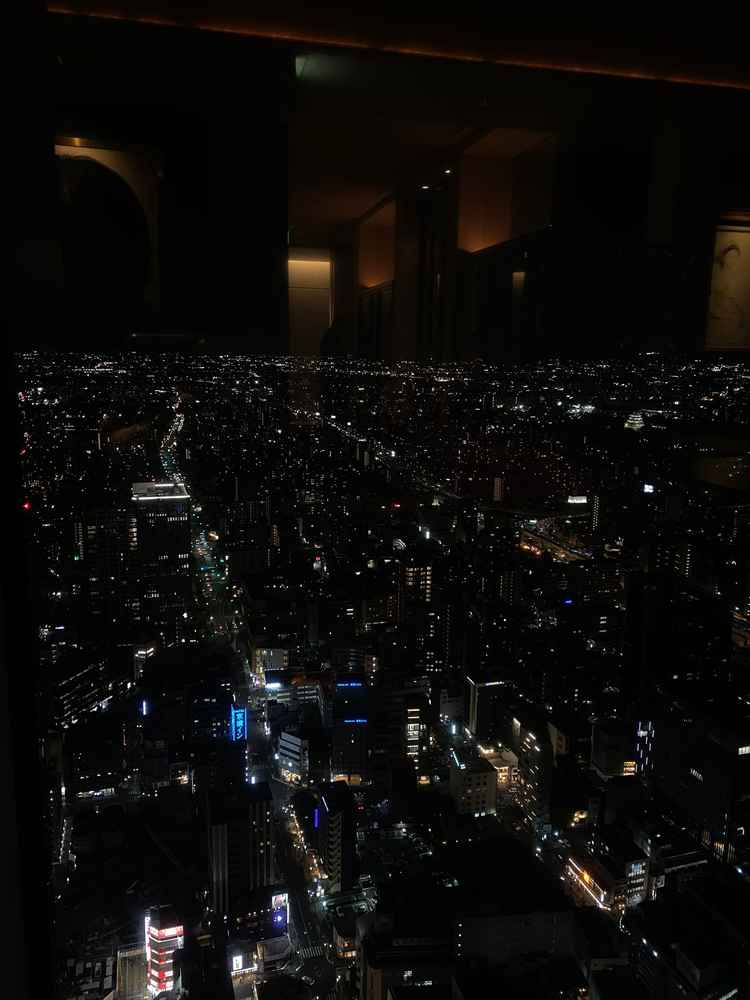 夜景。名古屋市内が一望できる。ぼーっと見惚れてしまうような最高の景色。