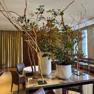 待合室に飾られた季節に合った木々