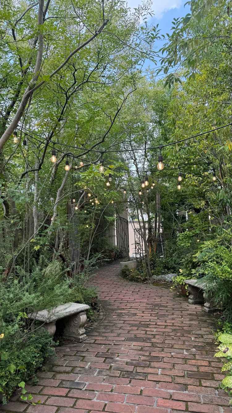 入り口に向かって撮った写真。秋でも枯れたりすることなくこの緑だそうで、きちんと説明してくれました。