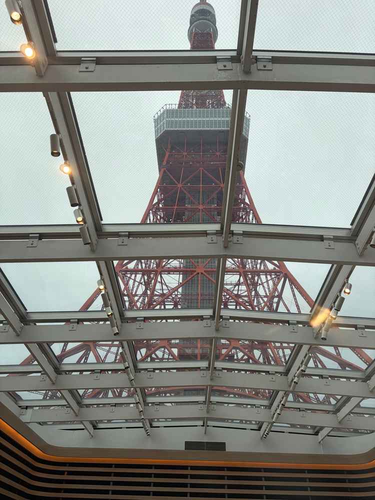 挙式会場天井