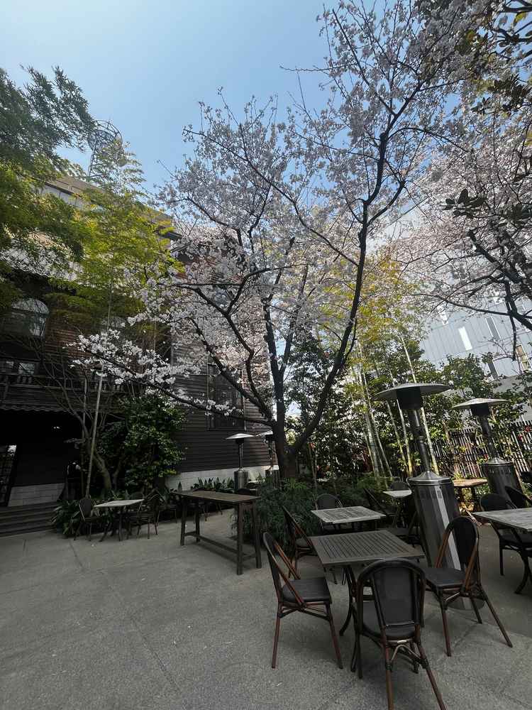 入り口から結婚式場までの中庭