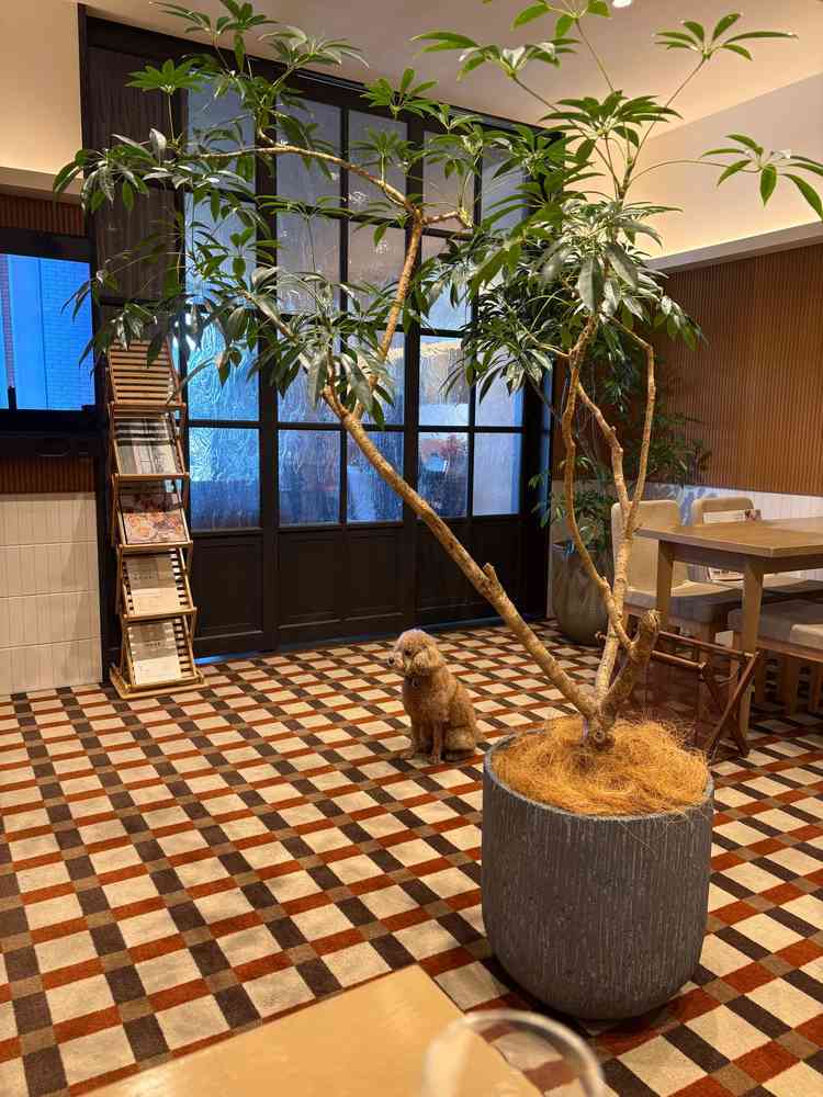 ブライダルサロンはとても綺麗で、ペットが自由に走り回れる環境であり居心地が良かった。