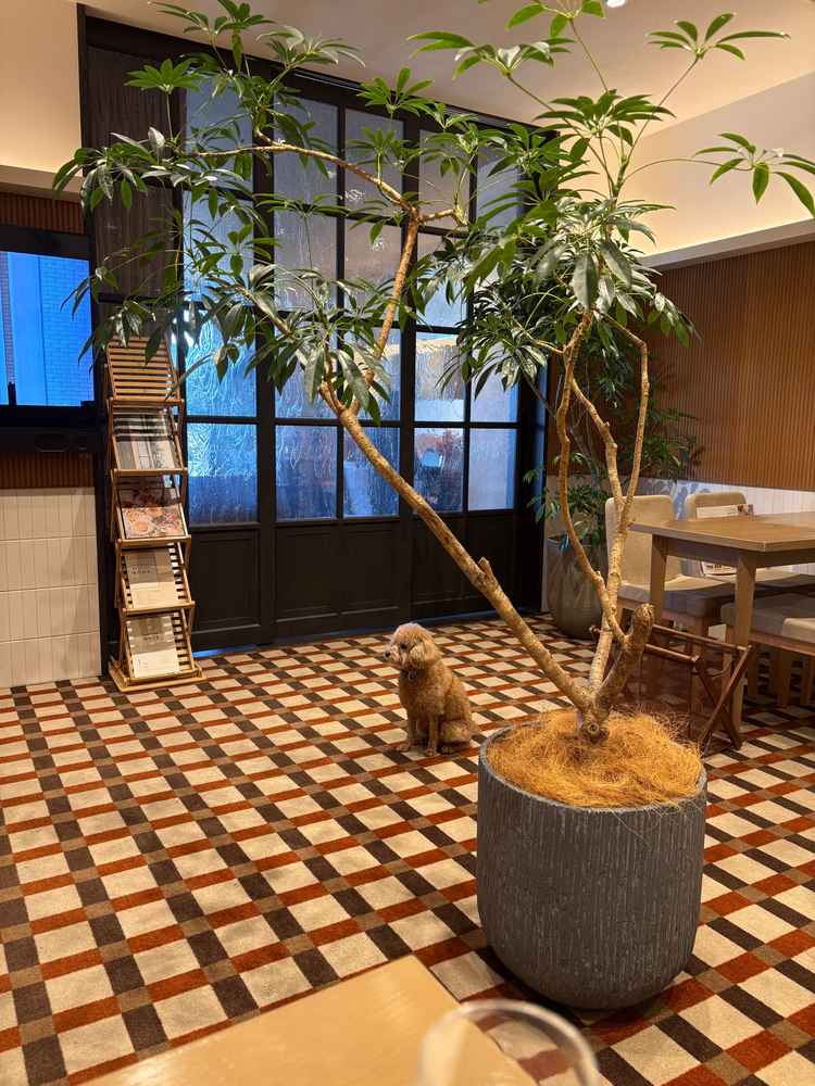 ブライダルサロンはとても綺麗で、ペットが自由に走り回れる環境であり居心地が良かった。