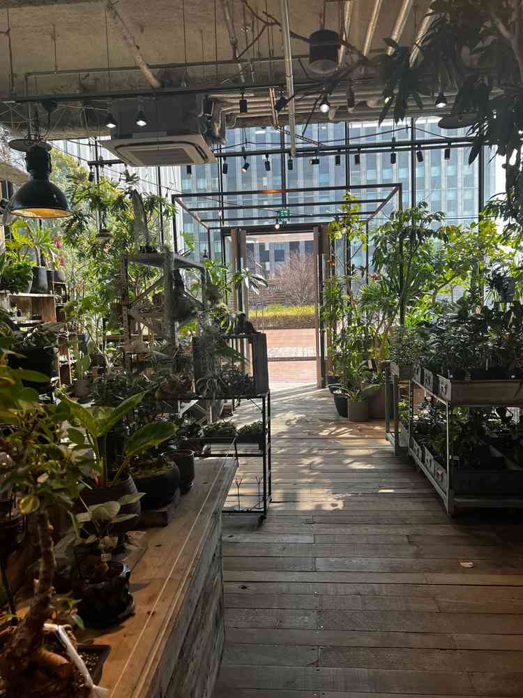 挙式会場の一つ。普段はガレージというインテリア•観葉植物のショップになっている。