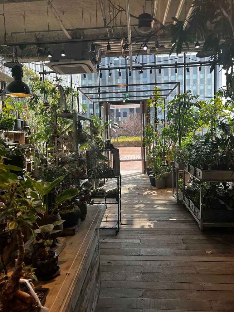 挙式会場の一つ。普段はガレージというインテリア•観葉植物のショップになっている。