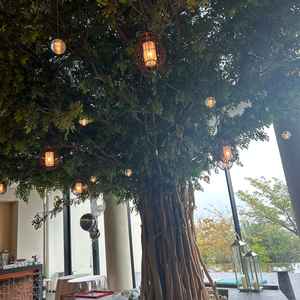 披露宴会場にインパクトの強い素敵なツリーがありました