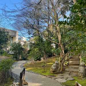 挙式会場までゲストが歩く日本庭園