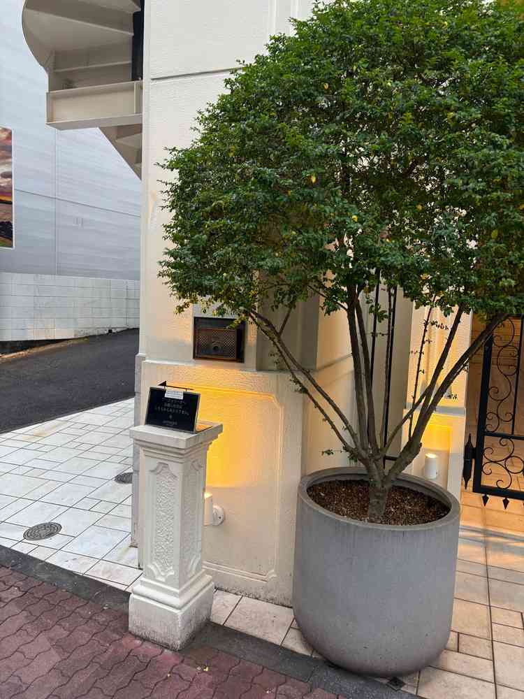 屋外からの看板